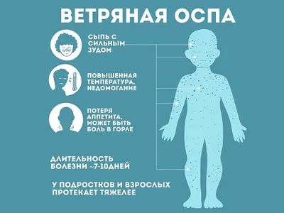 Ветряная Оспа Вирус Ветряной Или Ветрянка Пузырь Сыпь На Ребенка, Ребенка  Или Adoult. Крупным Планом Образ Свежей Блистере Фотография, картинки,  изображения и сток-фотография без роялти. Image 51869913