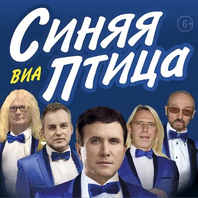 Виа синяя птица картинки