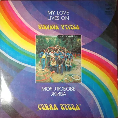 ВИА "Синяя Птица" - Моя любовь жива (LP Vinyl)