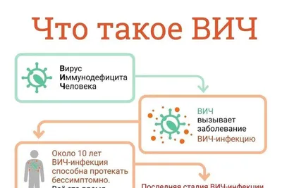 Образец сертификата об отсутствии ВИЧ-инфекции | Информация для иностранных  граждан