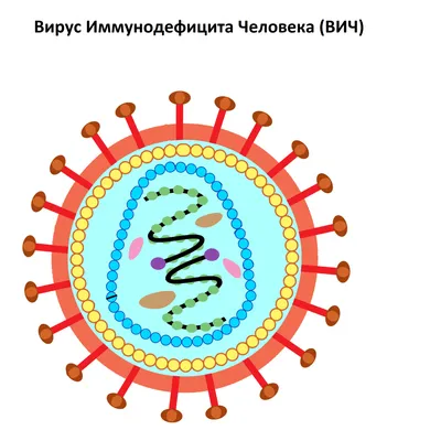 Вич картинки