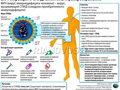 ВИЧ-инфекция и СПИД: симптомы и распространение - РИА Новости, 