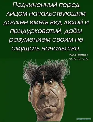 Цитаты Петра I и Дзержинского в кабинетах ИФНС. А еще налоговики считают  себя «светлой стороной»