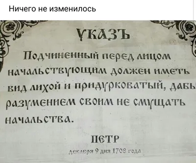 Должен иметь вид лихой и придурковатый…» | Пикабу