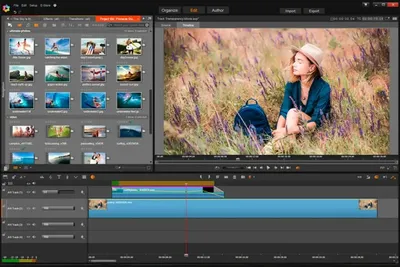 Olive video editor - для новичков. Картинка в картинке - наложение видео  поверх видео. | ПроСвет - Olive video editor | Дзен