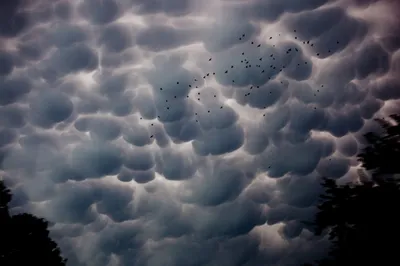 Земні хмари — як вони формуються і скільки існує їх типів