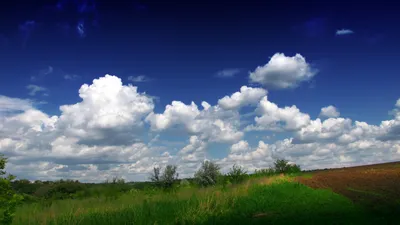 Купчасті хмари — Вікіпедія
