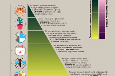 Типы аллергических реакций и что делать с этим проявлением