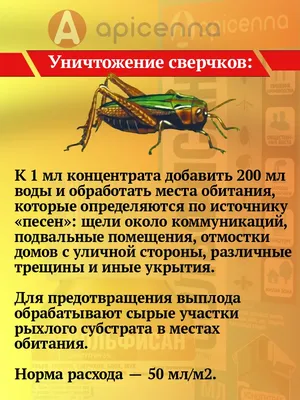 Инсектицид Фас-Дубль 2, от муравьев, клещей, клопов, блох, порошок, 125 г в  Москве: цены, фото, отзывы - купить в интернет-магазине Порядок.ру