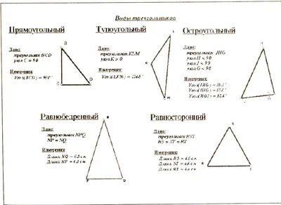 Как найти среднюю линию треугольника? Свойства, теорема