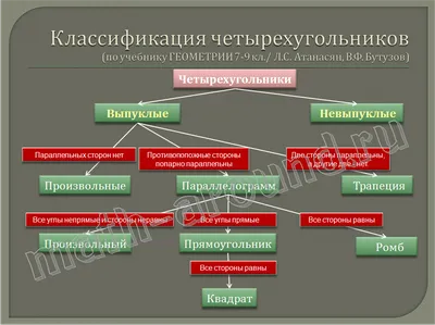 Четырехугольники. Классификация и виды четырехугольников