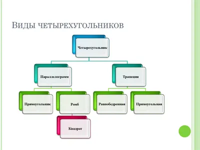 Запиши названия всех четырёхугольников. - Школьные Знания.com