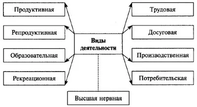 Виды деятельности картинки