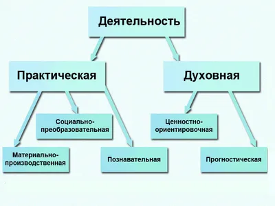 по обществознание 6 класс Л.Н.Боголюбова параграф 3,выписать виды  деятельности и обиснит каждую. - Школьные Знания.com