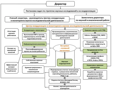 Основные виды деятельности