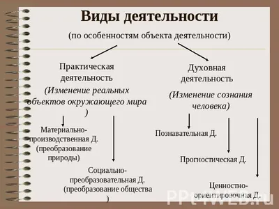 Розничный налог: опубликован новый список видов деятельности - новости  