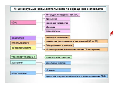 Виды деятельности - Менеджмент