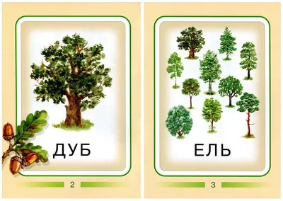 Деревья для макетов и макетный антураж | Мастерская «Глагол»