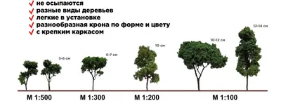 Какие бывают деревья – тема научной статьи по биологическим наукам читайте  бесплатно текст научно-исследовательской работы в электронной библиотеке  КиберЛенинка