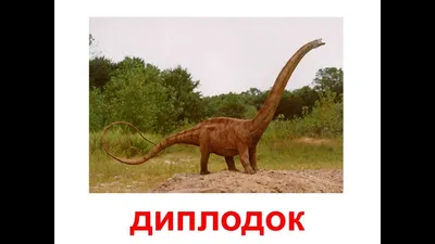 Динозавры онлайн dinosaurs, бесплатно динозавры хищные, фото динозавры  юрского периода, доисторические динозавры в картинках, самый большой  динозавр, виды динозавров энциклопедия, скелет динозавра, названия  динозавров эпоха, ихтиозавры, плезиозавры ...