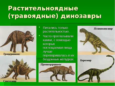 10 самых странных динозавров, в существование которых сложно поверить -  Лайфхакер