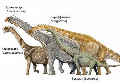 Динозавры онлайн dinosaurs, бесплатно динозавры хищные, фото динозавры  юрского периода, доисторические динозавры в картинках, самый большой  динозавр, виды динозавров энциклопедия, скелет динозавра, названия  динозавров эпоха, ихтиозавры, плезиозавры ...