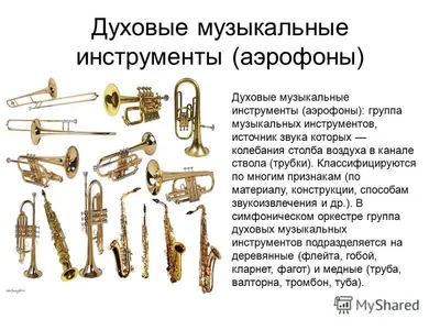 Статья о Трубе | Музыкальные инструменты, материалы, строение, виды, сурдины