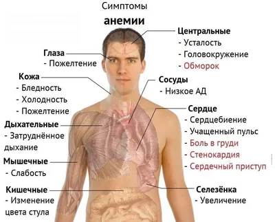 Препараты от глистов: купить противогельминтные препараты | Аптека Доброго  Дня