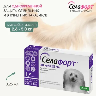 Купить NexGard SPECTRA (Нексгард СПЕКТРА) жевательная таблетка против блох,  клещей, гельминтов для собак в Киеве и по всей Украине - цена, отзывы в  зоомагазине Зоодом Бегемот