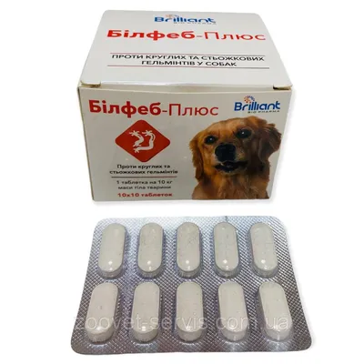 Arterium (Артериум) Энвайр - Антигельминтные таблетки для собак (1  таблетка) - Купить онлайн, цена и отзывы на E-ZOO