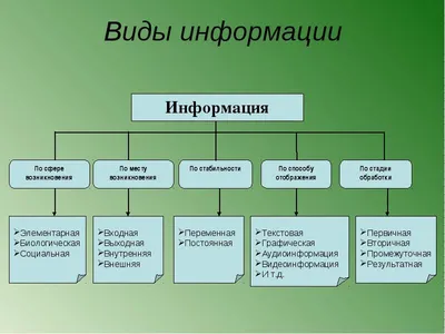 Источники информации: как проверить и каким доверять