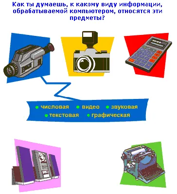 Виды информации interactive worksheet | Live Worksheets