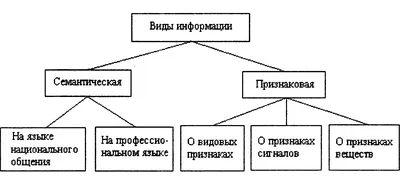 PPT - ИНФОРМАЦИЯ PowerPoint Presentation, free download - ID:5680794