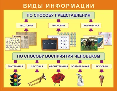 Блог педагога начальных классов Эюбовой Афаг: Виды информации по способу  представления и способу восприятия человеком.