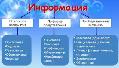 Учебный проект Виды информации — НГПУ им. К.Минина