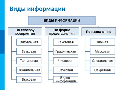 Файл:Типы информации.png — Викиучебник