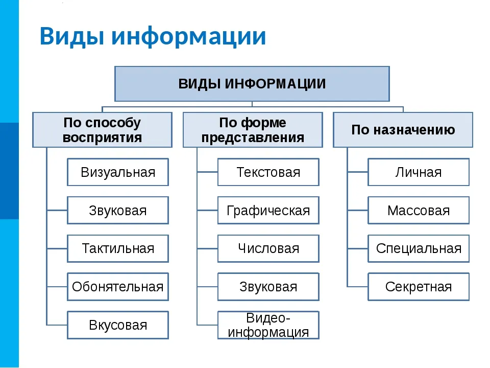 Виды Фотографий Бывают