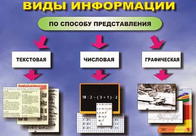 Виды информации - презентация онлайн