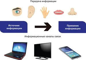 1. Информация в жизни человека — Информатика. 7 класс