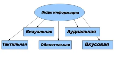 Наши источники информации — Научно-учебная лаборатория корпоративных  финансов — Национальный исследовательский университет «Высшая школа  экономики»