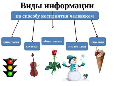 Классификация информации - Информатика