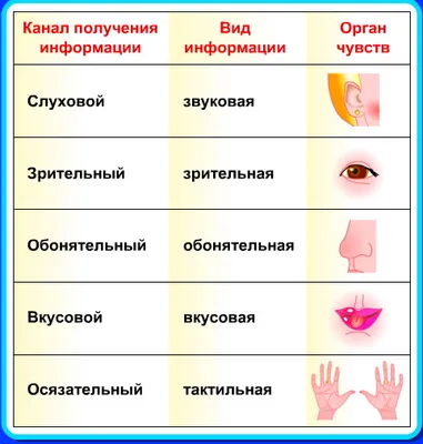 Виды информации 60 картинок