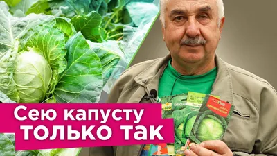 Виды капусты. Характеристики. – Everyday Диетолог