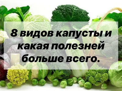 Все виды капусты.» — создано в Шедевруме