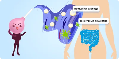 Очищение кишечника от токсинов: средства, способы и методики