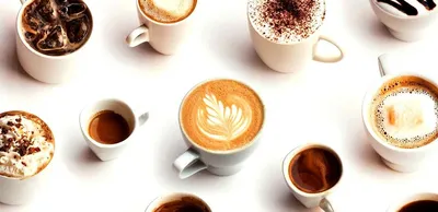Виды кофе - все главные сорта и их свойства