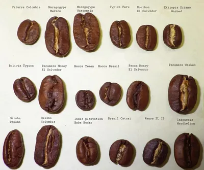 Инфографика: виды кофе и кофейных напитков