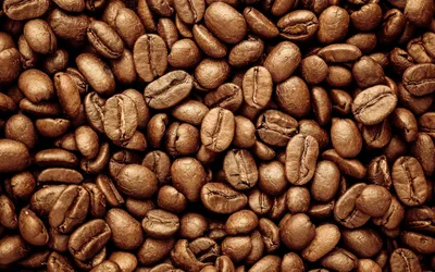 Редкие виды кофе, о которых вы, скорее всего, не знали
