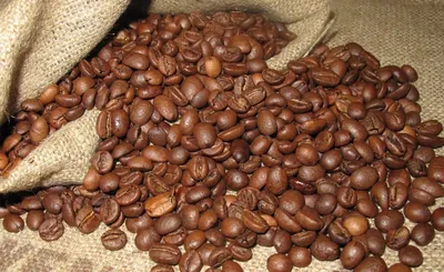 Виды кофе - какой бывает кофе в зернах, разновидности сортов i-coffee Москва