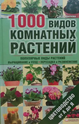 Комнатные пальмы – как устроить тропики у вас дома - Блог The Plant